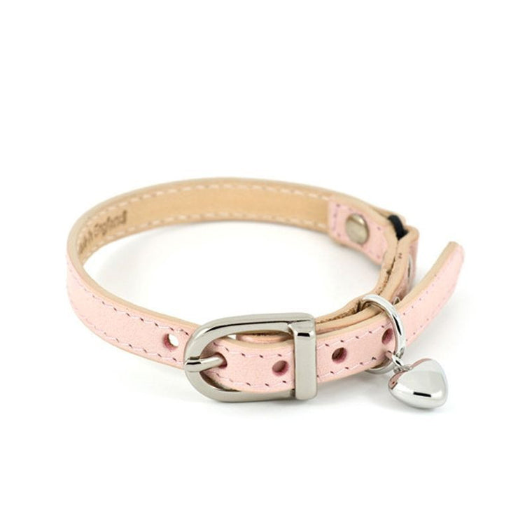 Cat Collars