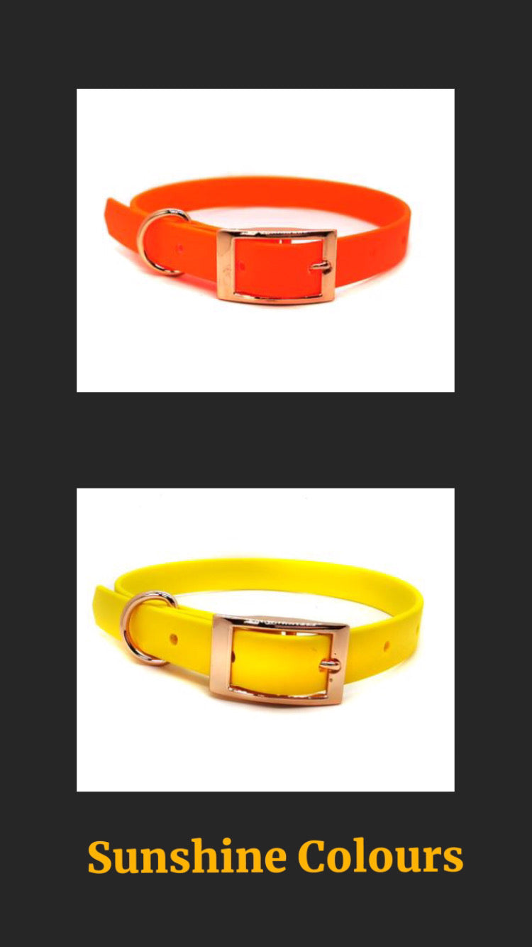 Sunshine Colours for Brighter Days