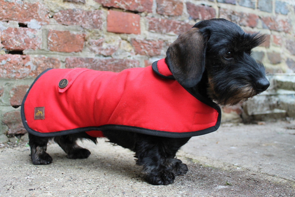 Cosy Coats