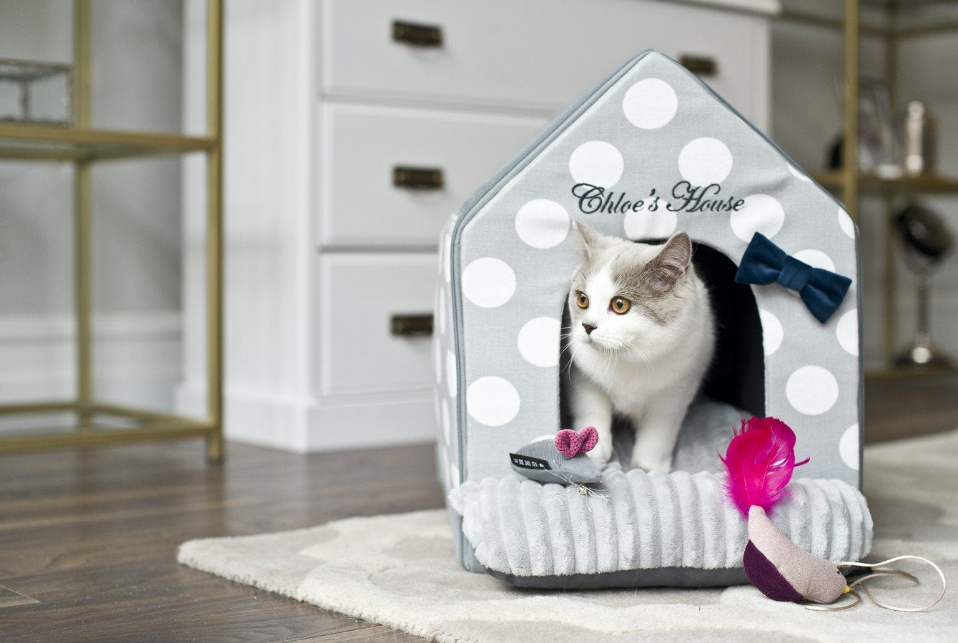 Cat Toys