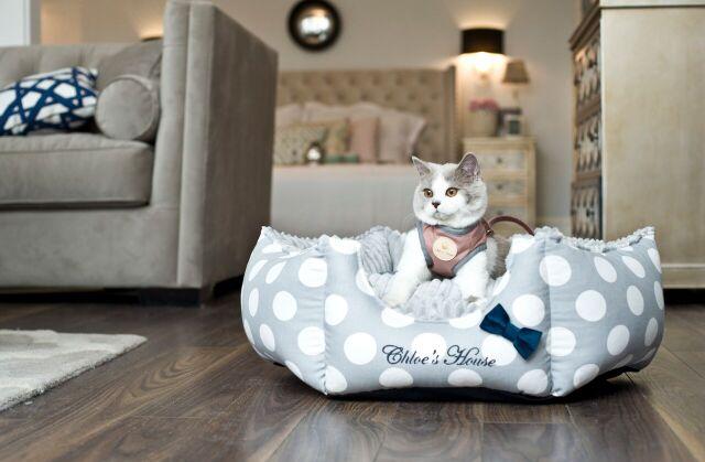 Cat Beds
