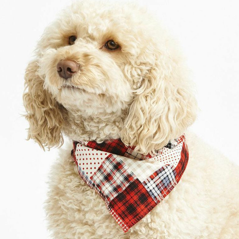 Dog Bandanas