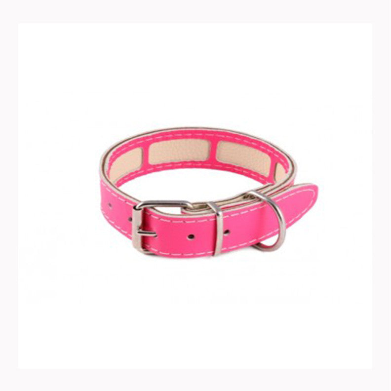 Dog Collars