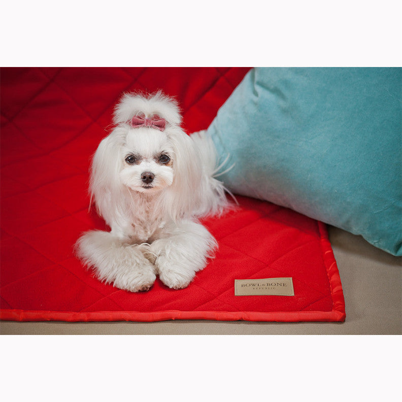 Dog Blankets and Throws