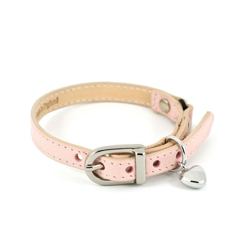 Cat Collars