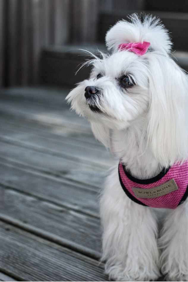 Dog Harnesses