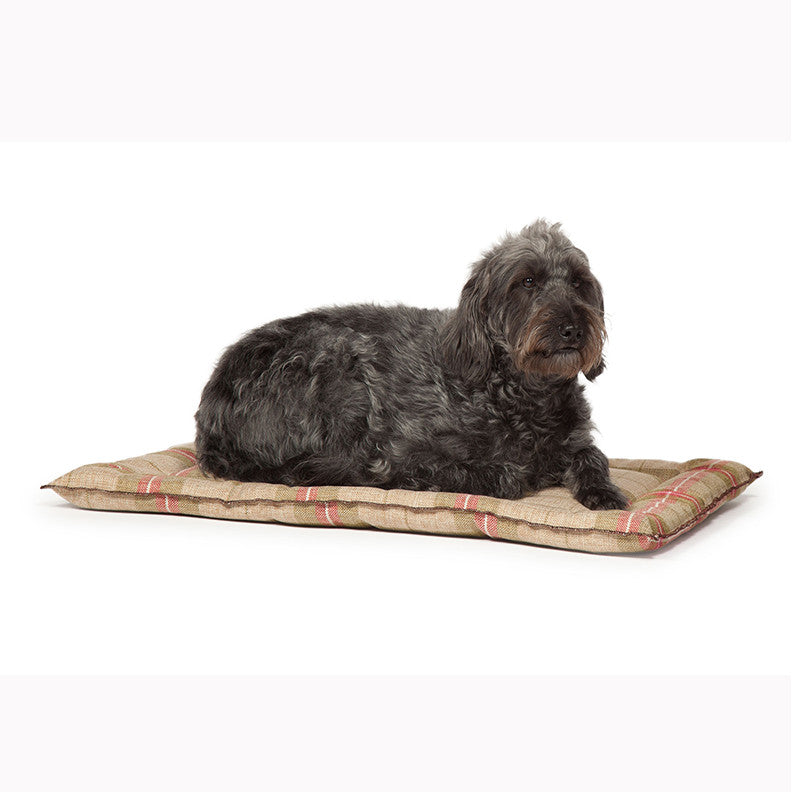 Newton Moss Dog Crate Mattress - Jolly and Bea's - 1