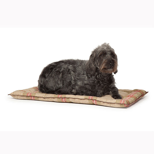 Newton Moss Dog Crate Mattress - Jolly and Bea's - 1