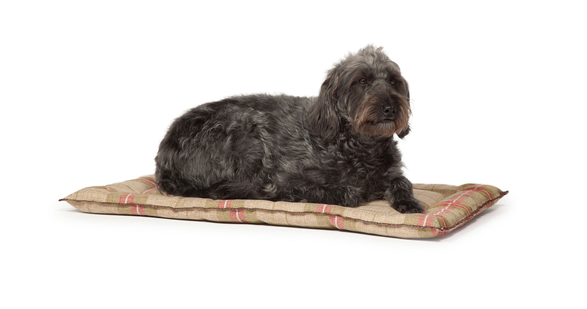 Newton Moss Dog Crate Mattress - Jolly and Bea's - 2