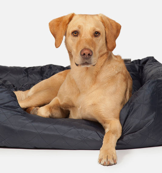 Navy Quilted Snuggle Bed